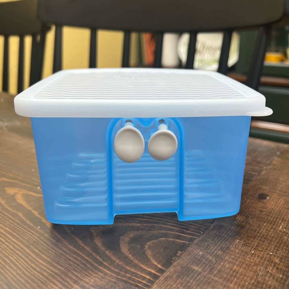 Tupperware Fridgesmart Container
